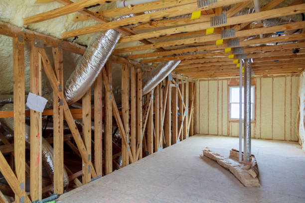 Best Spray Foam Insulation in Hamlin, TX
