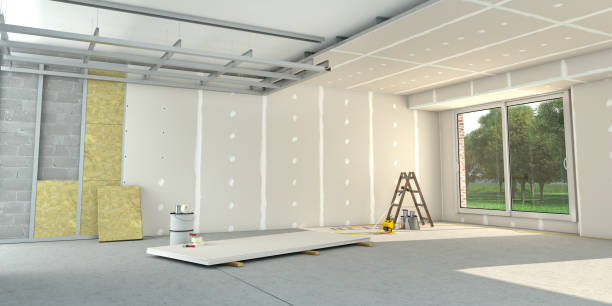 Best Specialized Insulation Services in Hamlin, TX