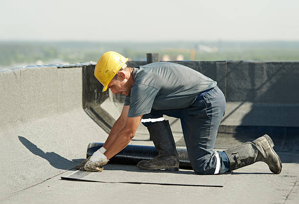 Best Geographic-Specific Insulation Services in Hamlin, TX