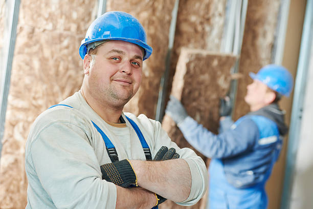 Best Insulation Maintenance and Repair in Hamlin, TX