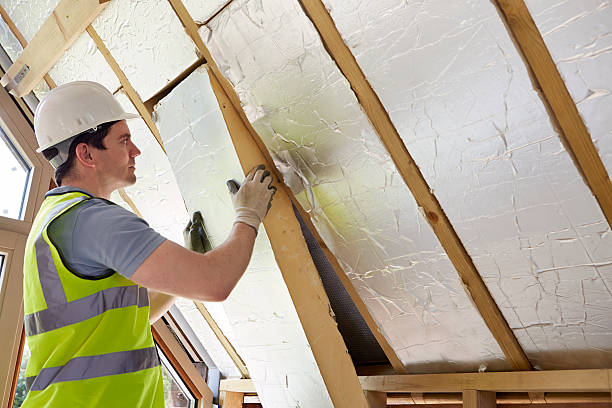 Best Cellulose Insulation in Hamlin, TX